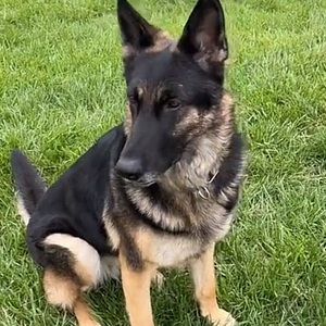 Meet your Posher, Gosia